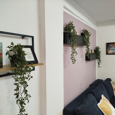 Apartment Jazbina Пула Екстериор снимка
